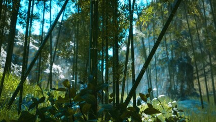 Lush bamboo grove with green leaves and soft sunlight filtering through the forest, capturing a calm natural atmosphere ideal for eco, zen, and nature wellness concepts