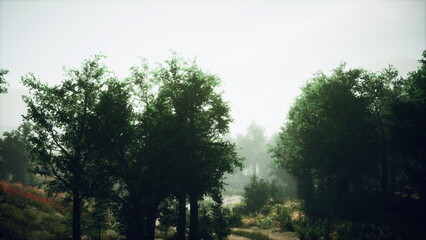 Trees tower over a tranquil landscape as morning fog creates a dreamy atmosphere. Wildflowers bloom amid lush foliage, inviting a sense of calm and connection to nature.