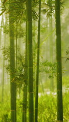 Tall bamboo stalks rise majestically in a peaceful forest. Soft sunlight dances through the leaves, casting gentle shadows on the ground. Natures serene beauty envelops the scene.