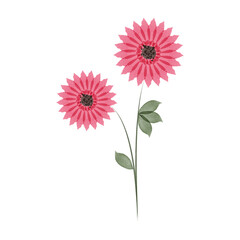 This shows two simple, single pink flowers with green leaves against a white background. The artistic style is reminiscent of watercolor painting.