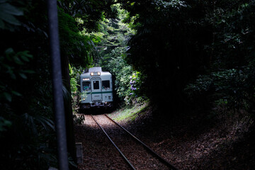Naklejka premium Local Train Passing Through Forest Tunnel in Motochoshi, Chiba, Japan