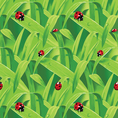 ladybug on green leaf