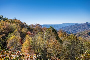 great smoky mountain national park