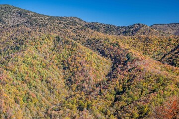 great smoky mountain national park