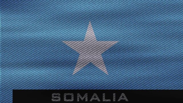 Somalia National Flag Waving Animation: Realistic 3D Seamless Loop with Blue and White Star
