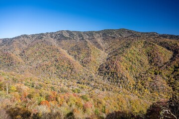 great smoky mountain national park
