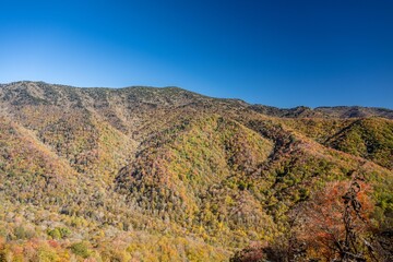 great smoky mountain national park