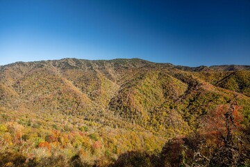 great smoky mountain national park