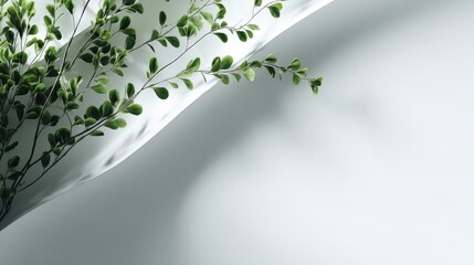 Elegant Green Leaves Against Minimalistic White Background