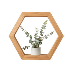 Modern Wooden Hexagon Shelf with Eucalyptus Plant for Home Decor and Interior Design Ideas