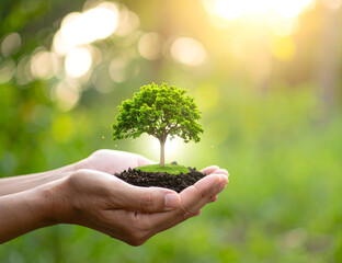 Both hands carry plant seeds that have been planted in fertile soil. Save Our Earth