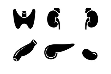 Collection of black silhouette medical illustrations depicting various human organs including kidneys, liver, and gallbladder