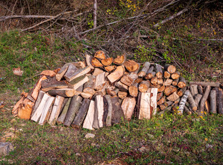 Stack of birch firewood in an autumn outdoor setting, prepared for home heating or sale.