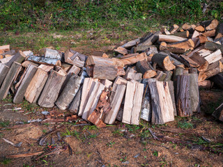 Stack of birch firewood in an autumn outdoor setting, prepared for home heating or sale.