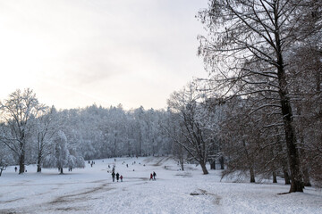 Winter landscape with people walking and sledding in snowy park