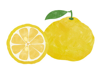 柚子のイラスト