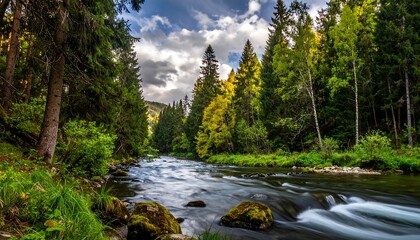 Obraz premium Scenic River Flowing Through Lush Green Forest Landscape.