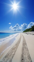 Sunlit tropical beach with tire tracks leading towards lush green vegetation under a blue sky