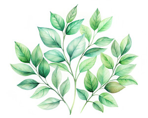Delicate watercolor illustration of lush green leaves and branches on a white background