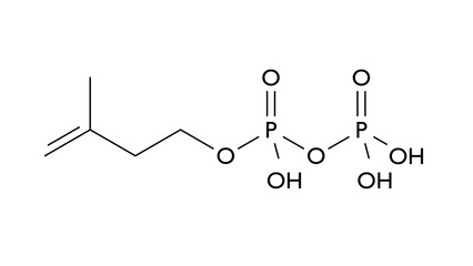 isopentenyl pyrophosphate molecule, structural chemical formula, ball-and-stick model, isolated image isoprenoid precursor
