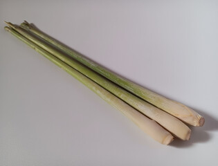 Cymbopogon citratus commonly known as West Indian lemongrass or lemongrass used as flavoring in cooking isolated on white background.