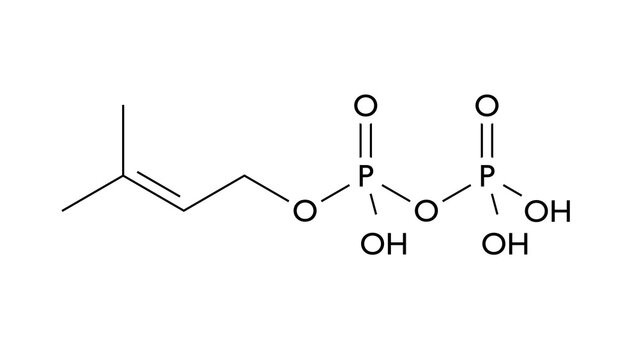 dimethylallyl pyrophosphate molecule, structural chemical formula, ball-and-stick model, isolated image isoprenoid precursor