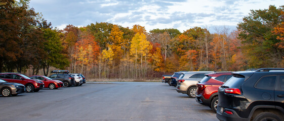 Autumn Colours in the Park Parking Lot