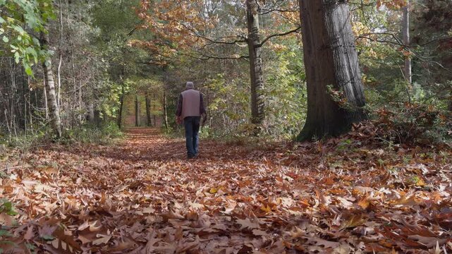 A man hiking through a colorful autumn forest on a path covered with fallen leaves. Peaceful outdoor adventure and nature exploration during the fall season. Low-angle tracking shot