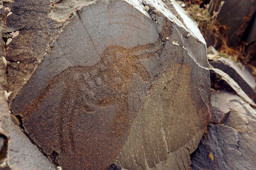 Archaeological petroglyph animal on rock, Bronze Age, Tamgaly (also known as Tanbaly) Kazakhstan, Central Asia