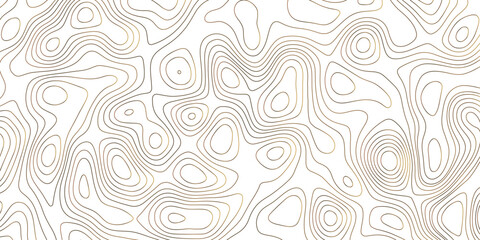 Topography vintage style background with organic elevation lines.  Black and Gray colored. Vector illustration.