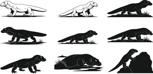 Komodo Dragon Vector Illustration Set in Natural Poses and Terrain, Wildlife Reptile Art for Zoology, Nature, and Stock Use