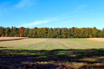 Golden fields and showcase autumn beauty in a rural landscape of rolling hills