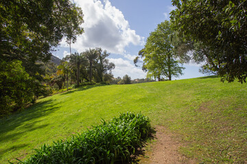 Monserrate park landscape with trees and green grass