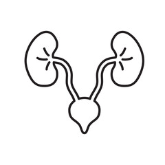 Fototapeta premium kidney icon vector healthy sign web design 
