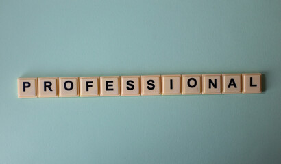 Professional word with alphabet cubes isolated on Light Blue Background