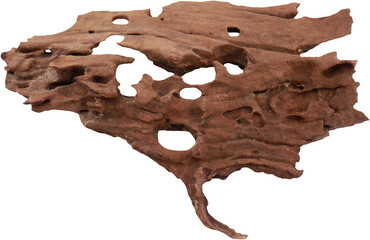 natural driftwood on transparent background