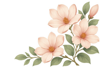 Fototapeta premium Pink magnolia flowers blooming on branch, delicate floral design, watercolor illustration with transparent background