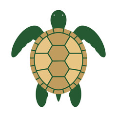 Marine Sea Turtle Graphic, turtle shell, turtle green, 