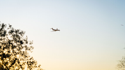 plane taking off at sunset