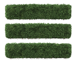 shrub bush fence tree on a transparent background