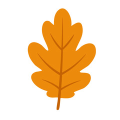 Orange autumn leaf in soft flat style for seasonal, nature and decorative design.