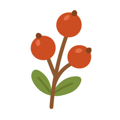 Branch with red berries and green leaves in soft flat style for decorative design.