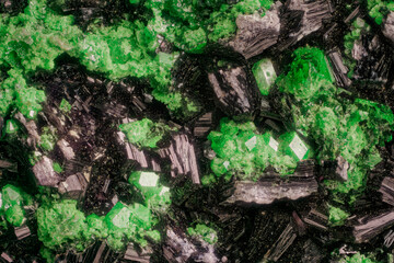 Macro: mineral uvarovite and clinochlore- Saranovskoe deposit. High magnification microphotography - scale of photography  3,7X.