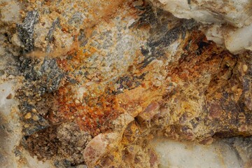 Macro degraded minerals and microplants from Khibiny — weathering and soil formation processes. Valuable for science, education and research in geoecology