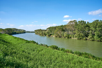 Fototapeta premium golena