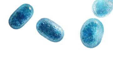 Abstract 3D render of microscopic bacteria- and human cells on blue background. .