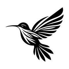 Fototapeta premium Elegant Black and White Hummingbird Silhouette in Flight.