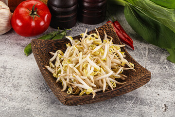 Soya bean sprouts in the bowl
