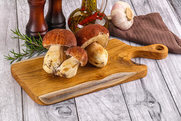 Raw natural wild porchini mushrooms