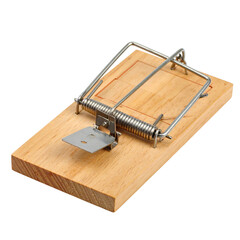 PNG image of a wooden rat trap with metal spring mechanism, showing detailed pest control tool for rodent management, perfect for home safety and pest removal projects